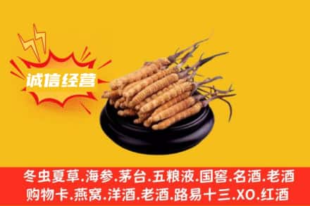 上饶余干县回收冬虫夏草